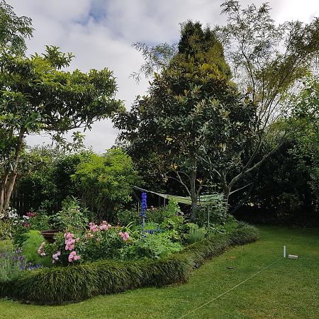 The Green House B&B Whitianga Exteriér fotografie