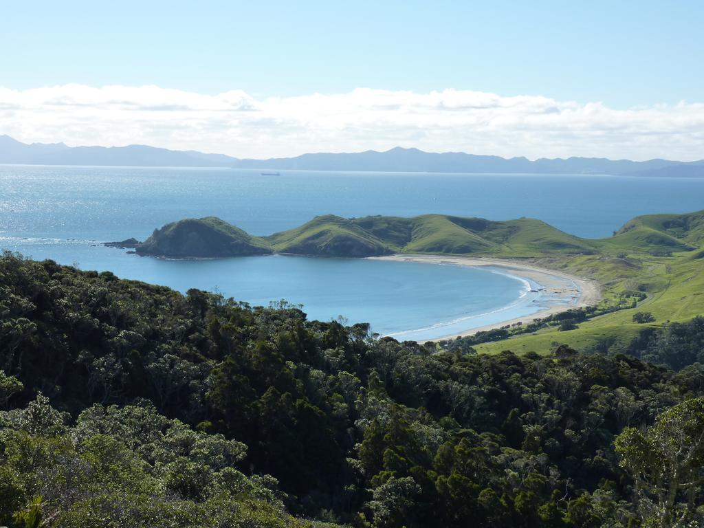 The Green House B&B Whitianga Exteriér fotografie