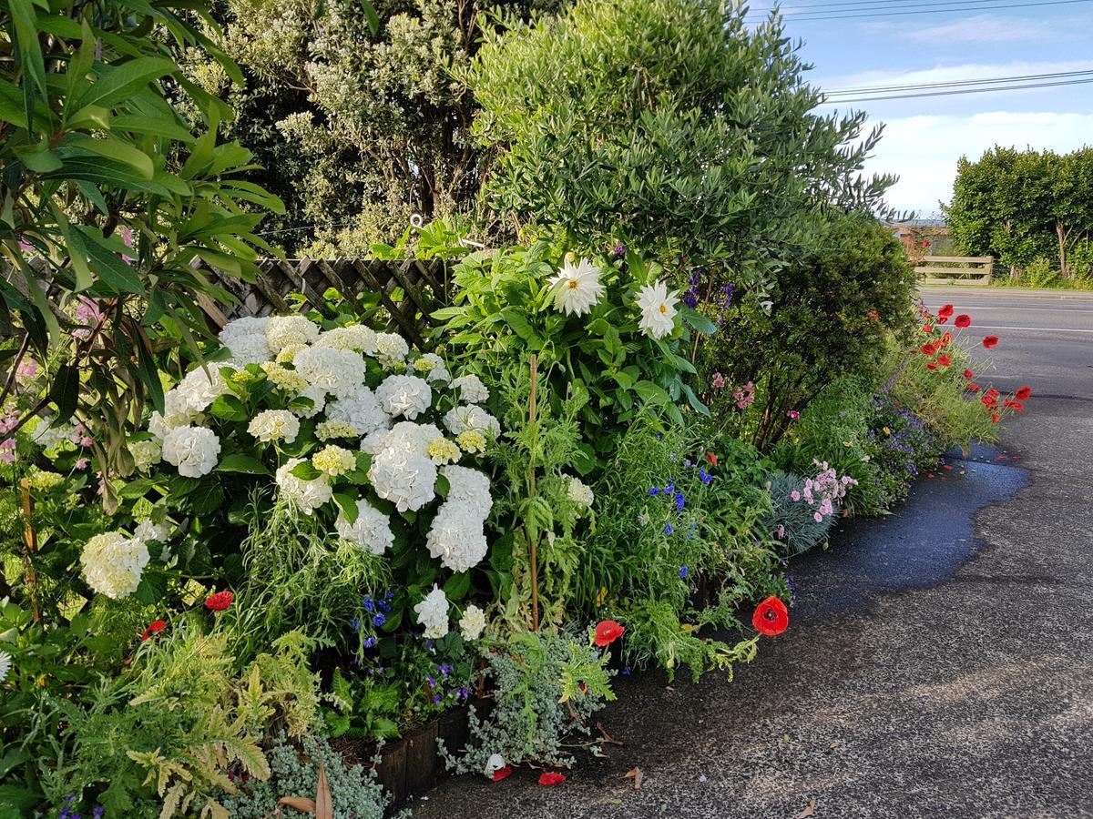 The Green House B&B Whitianga Exteriér fotografie